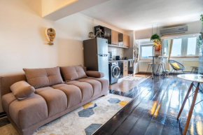 Central Cozy Apartment
